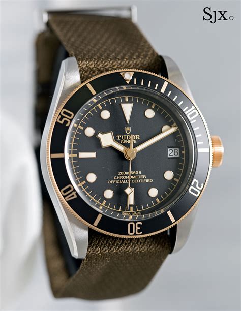 tudor sg bund full strap|tudor s&g black bay.